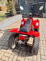 Andere Rex Quad 50 mit Straßenzulassung  - QUAD VON 1 BIS 50 CCM