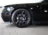 Dodge Challenger 6.4 SRT ScatPack/Alpine/PerfPages/R20 - Dodge Challenger: Srt