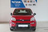 Fiat Panda Base 1.0 MildHybrid 69PS *Klima* - gebrauchte Fiat Panda aus dem Jahr 2024