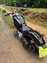 Harley-Davidson Softail Slim 