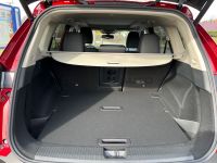 Nissan X-Trail 1.5 VC-T MHEV N-Connecta XTRONIC PGD LED - Image