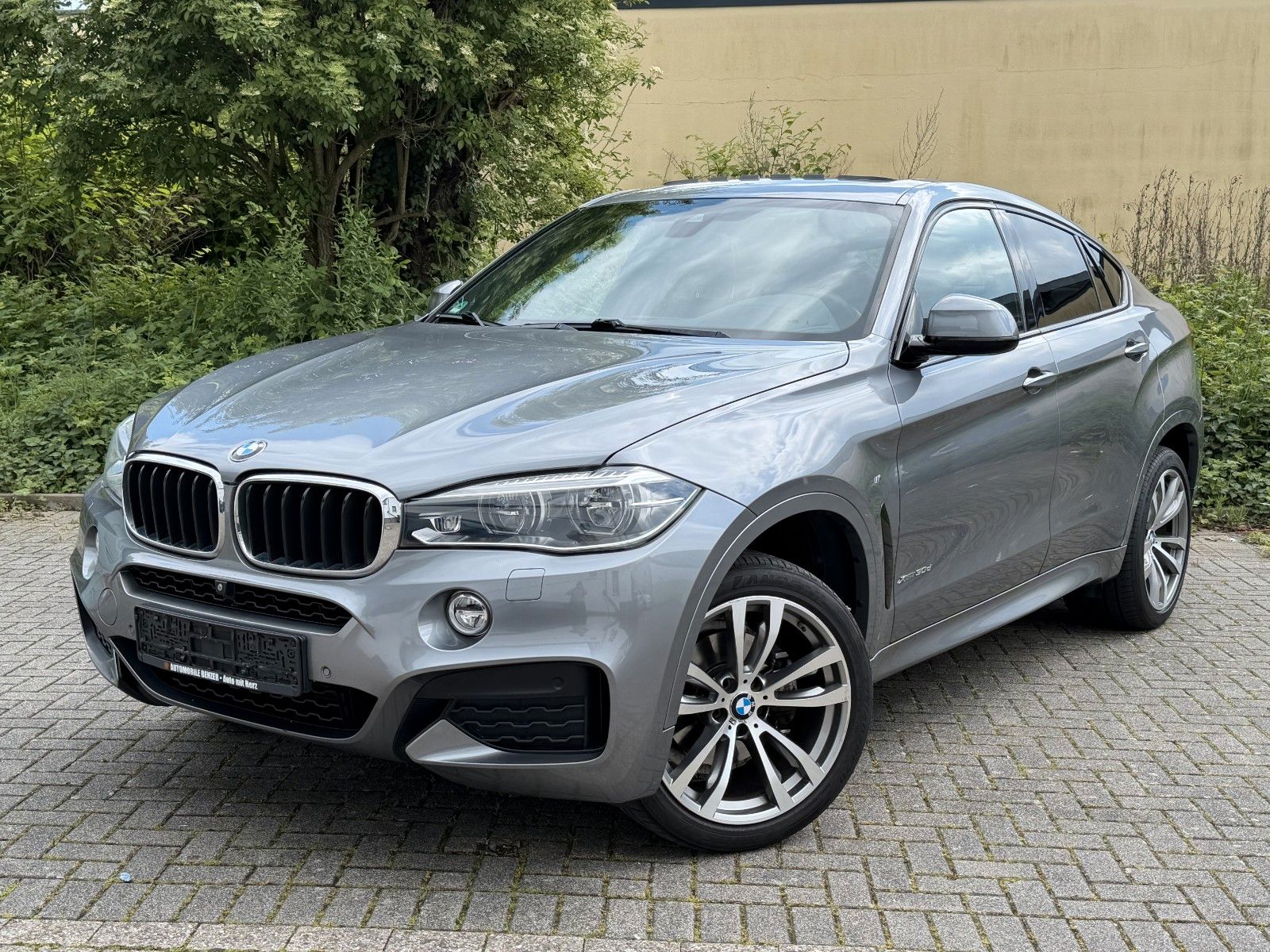 BMW X6 xDrive30d M/PANO/H&amp;K/HuD/360°/
