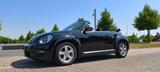 Volkswagen Beetle Cabriolet Mod.2017,Tüv, Reifen,Insp neu!! - Volkswagen Beetle in Bochum