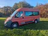 Peugeot Boxer DIY Campingbus - Offers