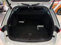 Skoda Octavia - Vorschau Bild 6