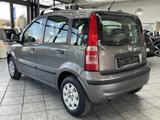 Fiat New Panda 1.2 Dynamic, Klima, Bluetooth, HU neu! - Fiat New Panda Gebrauchtwagen