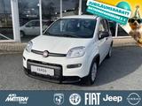Fiat Panda 1.0 Mild Hybrid - Fiat Panda Gebrauchtwagen in Bielefeld