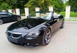 BMW 645Ci Cabrio - - BMW 645 aus 2004: Cabrio