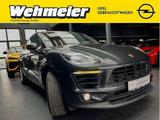 Porsche Macan S Diesel- Panoramadach,LEDER,LED - T O P - - Porsche Macan in Bielefeld