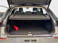 Volkswagen T-Roc - Vorschau Bild 11