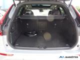 Volvo XC60 T8 AWD Plus Black Edition Recharge/Pano/LHZ - Volvo: X60