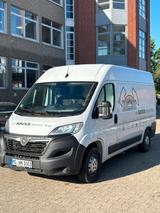 Opel Movano - Opel: Firmenfahrzeug