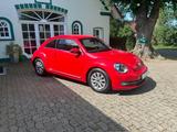 Volkswagen Beetle Design - VW Beetle Gebrauchtwagen in Bremen