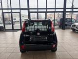 Fiat Panda Lounge/Klima - gebrauchte Fiat Panda aus dem Jahr 2012