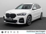 BMW X1 xD25e M Sport Kamera HUD DAB H/K Komfort 19"