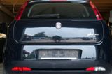 Fiat Punto Evo 1.2 8V Active*Klima* - Fiat Punto Evo aus 2009