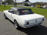 Ford Mustang Cabrioler 1964 ½ - Ford Gebrauchtwagen von 1964