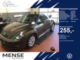 Volkswagen Beetle Cabriolet 1.2 TSI Design Navi|Xenon|PDC - Volkswagen Beetle: Cabrio