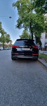 Audi SQ5 3.0 TDI tiptronic quattro - - Audi SQ5 Gebrauchtwagen in München