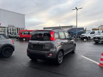 Bild 5 Fiat Panda City Life 1.0 Mild Hybrid DAB Berganfahras