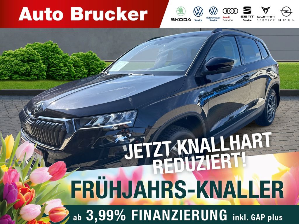 Image of Skoda Karoq