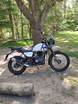 Royal Enfield Himalayan TOP Zustand! - ROYAL ENFIELD TOURER