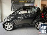 Smart Brabus Tailor Made Leder braun Standheizung 1 Hd - Smart ForTwo: Standheizung