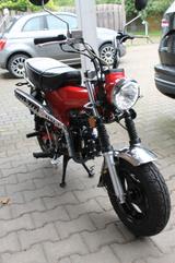 Andere Monkey Sky - Angebote