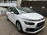 Citroën Grand C4 Picasso/Spacetourer Feel - Citroën Grand C4 Picasso / SpaceTourer aus 2020
