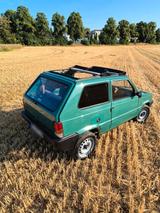 Fiat PANDA 141 Doppelfaltdach 900/40PS TÜV... - Fiat Panda in Hagen