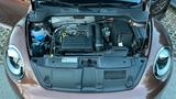 Volkswagen New Beetle Cabrio, Allstar, Autm. 1,2ltr. - Volkswagen New Beetle: Cabrio