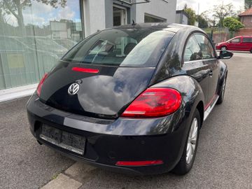 Volkswagen Beetle - 12