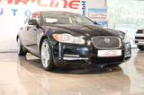 Jaguar XF 3.0 V6 Diesel Premium Luxury *Navi*Navi*RFK* - Jaguar XF: Premium Luxury