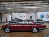 Jaguar Daimler Double Six - Jaguar Gebrauchtwagen von 1992