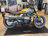 Triumph Scrambler 900, sofort verfügbar - TRIUMPH SCRAMBLER