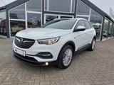 Opel Grandland (X) Edition+SITZ/LENKRAD/FRONTSCHHEIZ+ - Opel Grandland (X) Edition mit Benzin-Antrieb