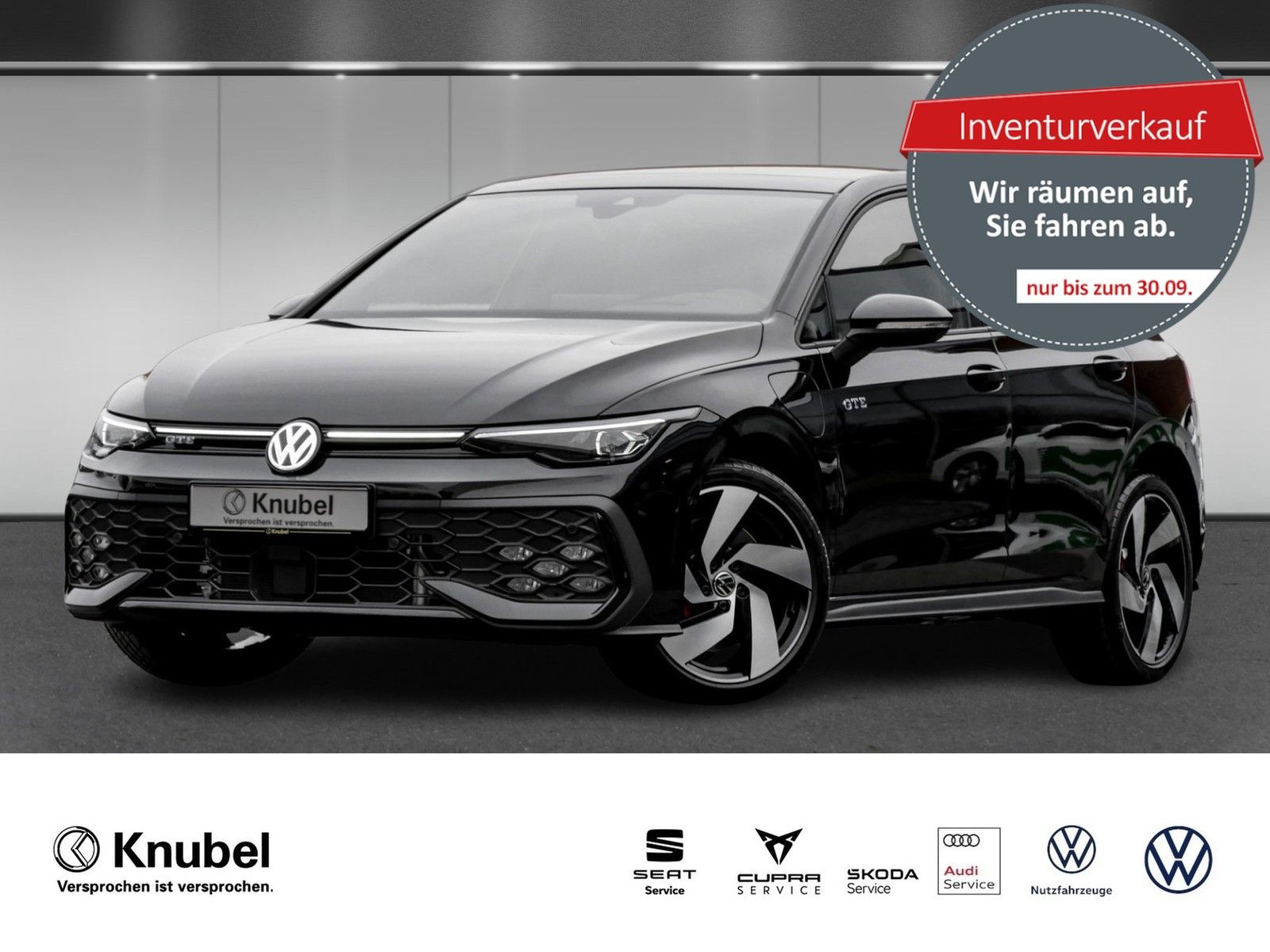 Volkswagen Golf VIII GTE IQ.Light Navi Leder TravelAss. AHK