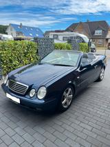 Mercedes-Benz CLK 230 KOMPRESSOR Lückenlos Service - gebrauchte Mercedes-Benz CLK 230 aus dem Jahr 1998