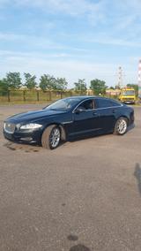 Jaguar XJ Luxury 3.0 V6 Diesel S Luxury - Jaguar XJ aus 2011