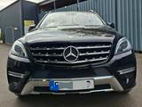 Mercedes-Benz ML 500 4MATIC BlueEFFICIENCY - - Mercedes-Benz ML-Klasse mit Benzin-Antrieb