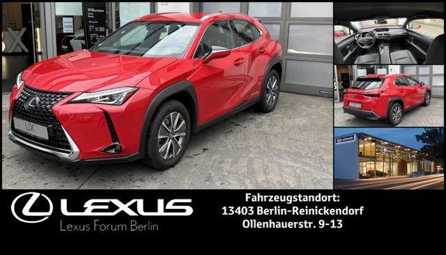 Lexus UX 300e BEV 54kW Komfort Plus *Allwetterreifen*