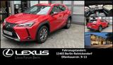 Lexus UX 300e BEV Komfort Plus *Allwetterreifen* - rote Lexus UX