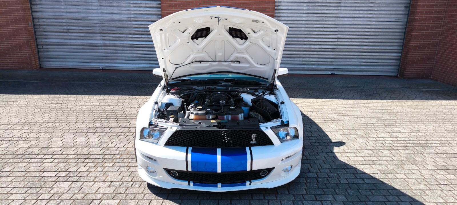 Ford Mustang Shelby GT500 5.4l V8 SVT
