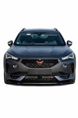 Cupra Formentor VZ 310, Garantie, Matt,360° elek.Heckk - Cupra Formentor Matt Gebrauchtwagen