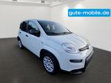 Fiat Panda Pandina Hybrid MY25 70PS  - Fiat Panda: Pandina