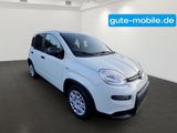 Fiat Panda Pandina Hybrid MY25 70PS  - Fiat Panda Tageszulassungen mit Benzin-Antrieb: Limousine