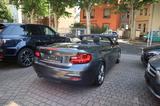 BMW Cabrio 220 d M-Sport  Bi-Xenon Alcantara - BMW 220: Automatik