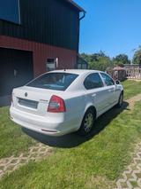 Skoda Octavia 1.6 MPI - Skoda Octavia: Mpi
