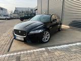 Jaguar XF Sportbrake 3.0D First Edition - Jaguar XF: Edition