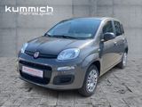 Fiat Panda Easy 1.2 69PS E6D-TEMP Stock - Fiat Panda in Stuttgart